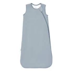 1.0 Sleep Bag in Fog
