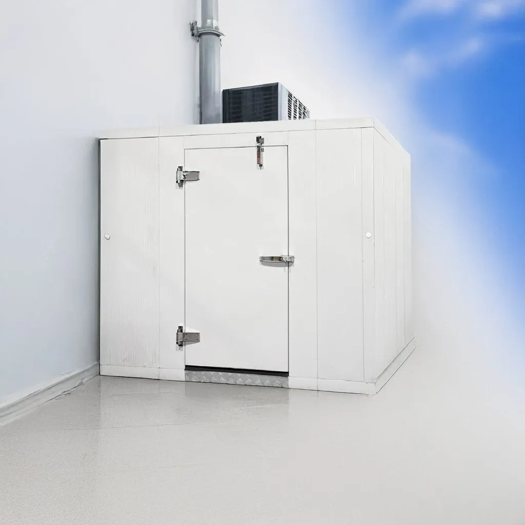 8' x 8' Astra Walk-In Freezer with Floor