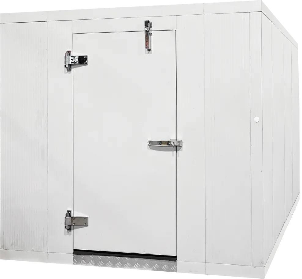 8' x 8' Astra Walk-In Freezer with Floor